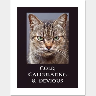 Funny Tabby Cat Lovers Sarcastic Cat For Men Women Posters and Art